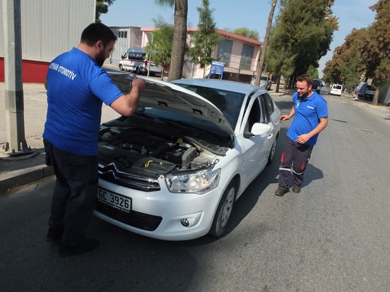 İzmir Pejo Direksiyon Ses ve EPS